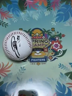 2026年最新】達孝太 直筆の人気アイテム - メルカリ