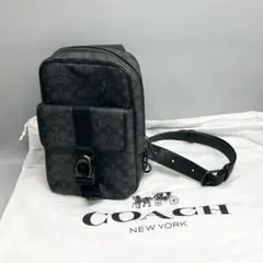 2026年最新】コーチベックの人気アイテム - メルカリ