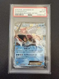 2026年最新】ポケモンカードギャラドスXYの人気アイテム - メルカリ