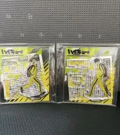 2026年最新】アクリルフィギュアコレクション ハイキュー 第8弾の人気