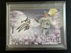 2026年最新】糸原健斗 サインの人気アイテム - メルカリ