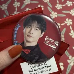 2026年最新】青山隼の人気アイテム - メルカリ