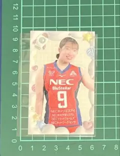 2026年最新】nec レッド ロケッツの人気アイテム - メルカリ