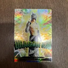 2026年最新】ドラゴンゲートの人気アイテム - メルカリ