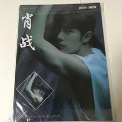 2026年最新】肖戦写真集の人気アイテム - メルカリ