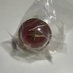 2026年最新】こはね リングライトの人気アイテム - メルカリ