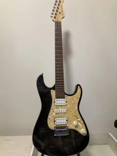 2026年最新】selva ギターの人気アイテム - メルカリ