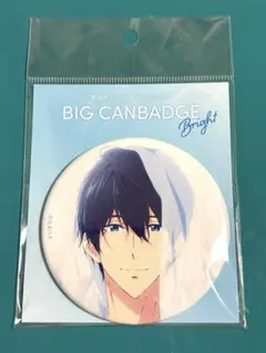 2026年最新】七瀬遙 缶バッジの人気アイテム - メルカリ