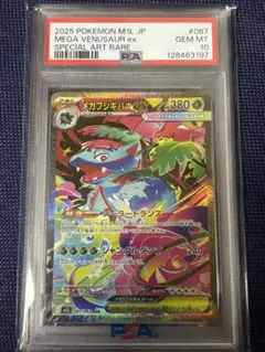 2026年最新】フシギバナ psa10の人気アイテム - メルカリ