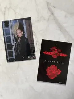 2026年最新】ナイショナイショの薔薇の下の人気アイテム - メルカリ