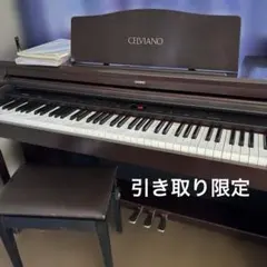 2026年最新】casio ap 220の人気アイテム - メルカリ