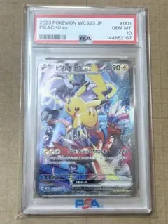 2026年最新】横浜 ピカチュウ psa10の人気アイテム - メルカリ