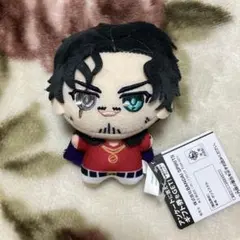 2026年最新】天谷奴零ちびぐるみの人気アイテム - メルカリ