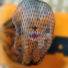 2026年最新】バスター君 ぬいぐるみの人気アイテム - メルカリ