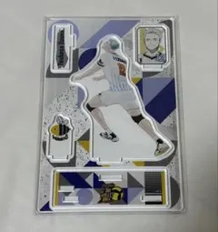 2026年最新】飯綱掌 vリーグの人気アイテム - メルカリ