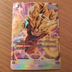 2026年最新】未知なる冒険 孫悟空 パラレルの人気アイテム - メルカリ