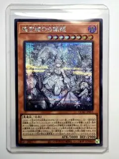 2026年最新】迷宮城の白銀姫 イラスト違いの人気アイテム - メルカリ