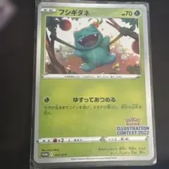 2026年最新】フシギダネ プロモ 未開封の人気アイテム - メルカリ