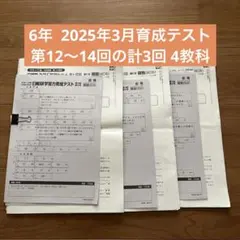 2026年最新】日能研 テストの人気アイテム - メルカリ