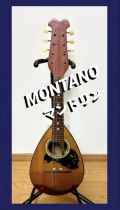 2026年最新】MONTANOギターの人気アイテム - メルカリ