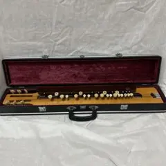 2026年最新】菊八重 大正琴の人気アイテム - メルカリ