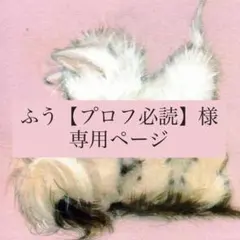 2026年最新】プロフ必読の人気アイテム - メルカリ