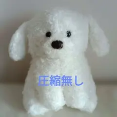 2026年最新】トイプーのモコフィーの人気アイテム - メルカリ