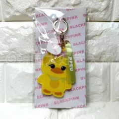 2026年最新】 BLACKPINK リサ キーホルダーの人気アイテム - メルカリ