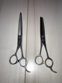 2026年最新】天洋 シザー g2の人気アイテム - メルカリ