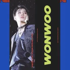 2026年最新】seventeen ウォヌ スローガンの人気アイテム - メルカリ