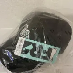 2026年最新】FR2 月桃 キャップの人気アイテム - メルカリ