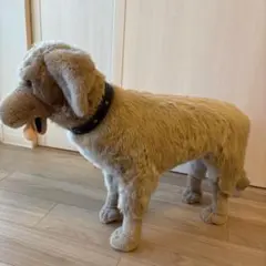 2026年最新】DITZ ぬいぐるみの人気アイテム - メルカリ