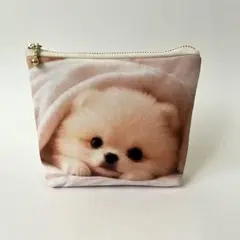 2026年最新】ポメラニアン ポーチの人気アイテム - メルカリ