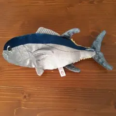 2026年最新】葛西臨海水族園 マグロの人気アイテム - メルカリ