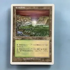 2026年最新】低木林地の人気アイテム - メルカリ