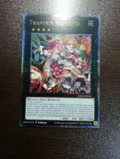 2026年最新】フレシアの蟲惑魔 25thの人気アイテム - メルカリ