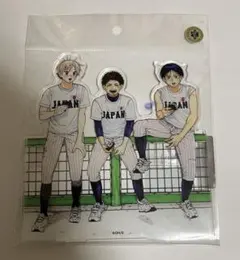 2026年最新】ダイヤモンドの功罪 アクリルの人気アイテム - メルカリ