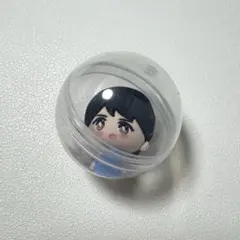 2026年最新】塩﨑太智 ぬいぐるみの人気アイテム - メルカリ