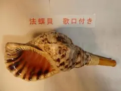 2026年最新】法螺貝笛の人気アイテム - メルカリ
