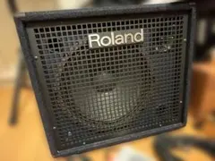 2026年最新】roland KC-100の人気アイテム - メルカリ
