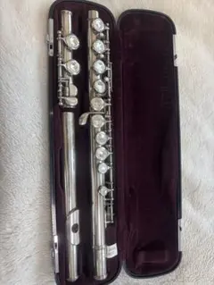 2026年最新】ヤマハ フルート yfl311の人気アイテム - メルカリ