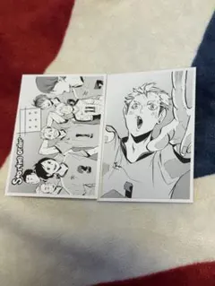 2026年最新】ハイキュー クロニクル フォトカードの人気アイテム