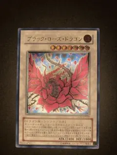 2026年最新】ブラックローズドラゴン 20thの人気アイテム - メルカリ