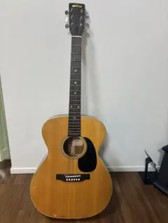 2026年最新】kasuga ギターの人気アイテム - メルカリ