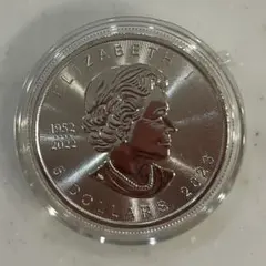 2026年最新】メイプルリーフ銀貨の人気アイテム - メルカリ