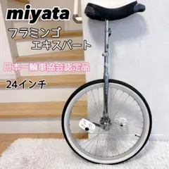 2026年最新】フラミンゴ一輪車の人気アイテム - メルカリ