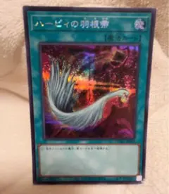 2026年最新】ハーピィの羽根帚 初期の人気アイテム - メルカリ