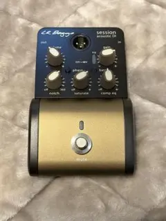 2026年最新】l.r.baggs sessionの人気アイテム - メルカリ