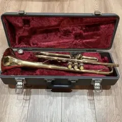 2026年最新】ytr-236の人気アイテム - メルカリ