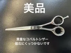 2026年最新】オオカワシザーの人気アイテム - メルカリ